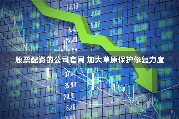 股票配资的公司官网 加大草原保护修复力度