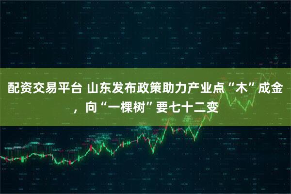 配资交易平台 山东发布政策助力产业点“木”成金，向“一棵树”要七十二变