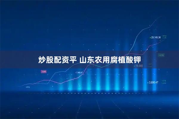 炒股配资平 山东农用腐植酸钾